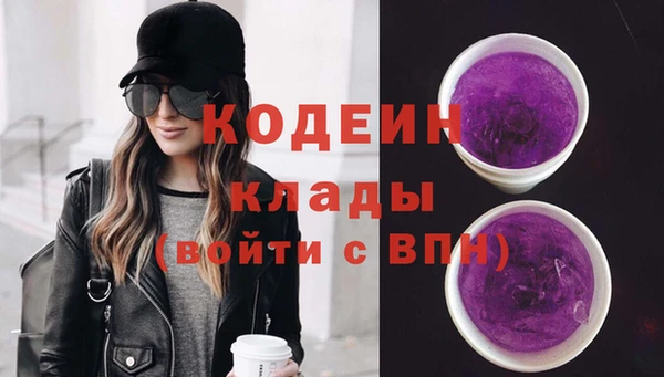дурь Ельня