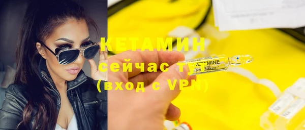 дурь Ельня