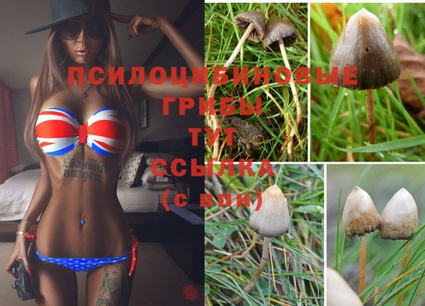 дурь Ельня