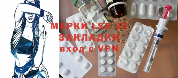 дурь Ельня