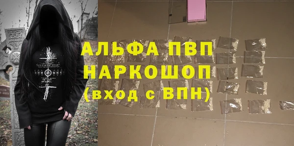 прущие грибы Надым