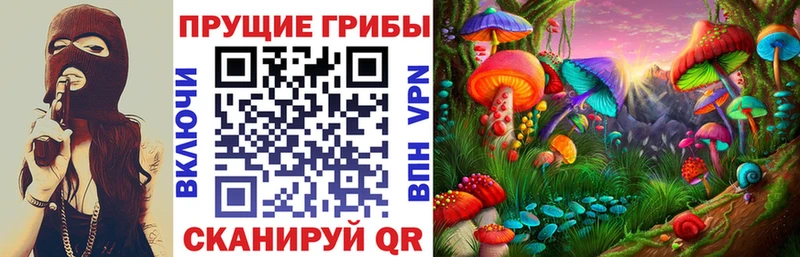 Купить закладки  Ельня  Псилоцибиновые грибы GOLDEN TEACHER 